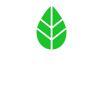 Icône verte de feuille sur un écran d'ordinateur, représentant la réduction des émissions de GES et l’engagement de Neo TMS envers la rentabilité durable.
